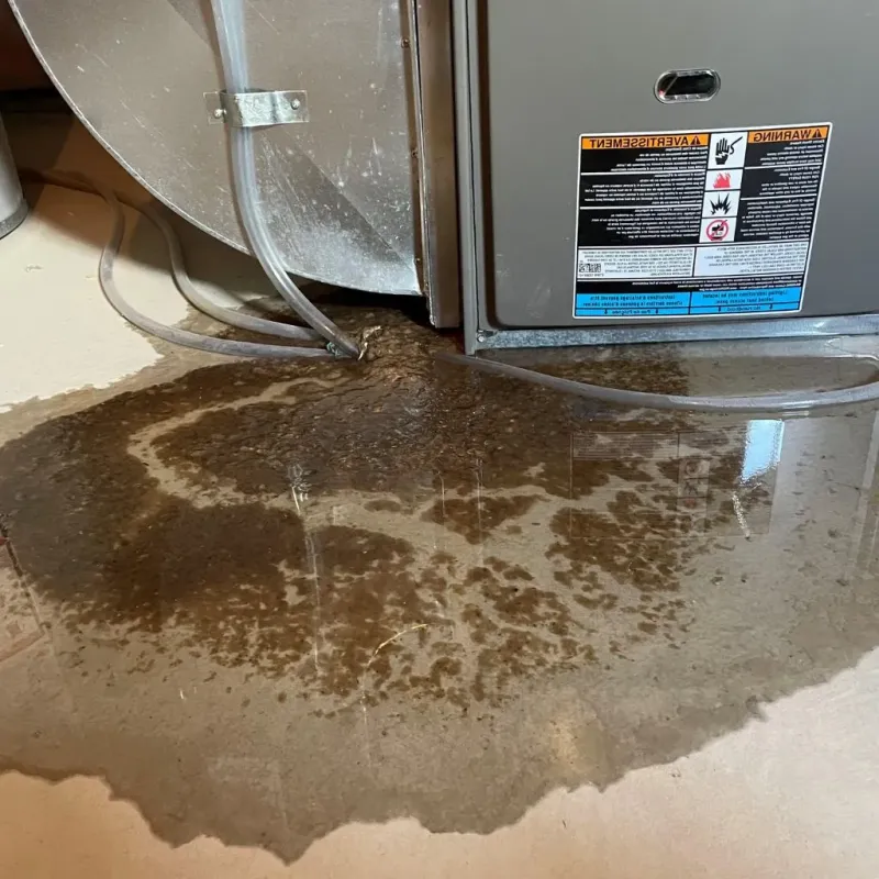 Pipe Burst and Leak Restoration in Goshen County, WY