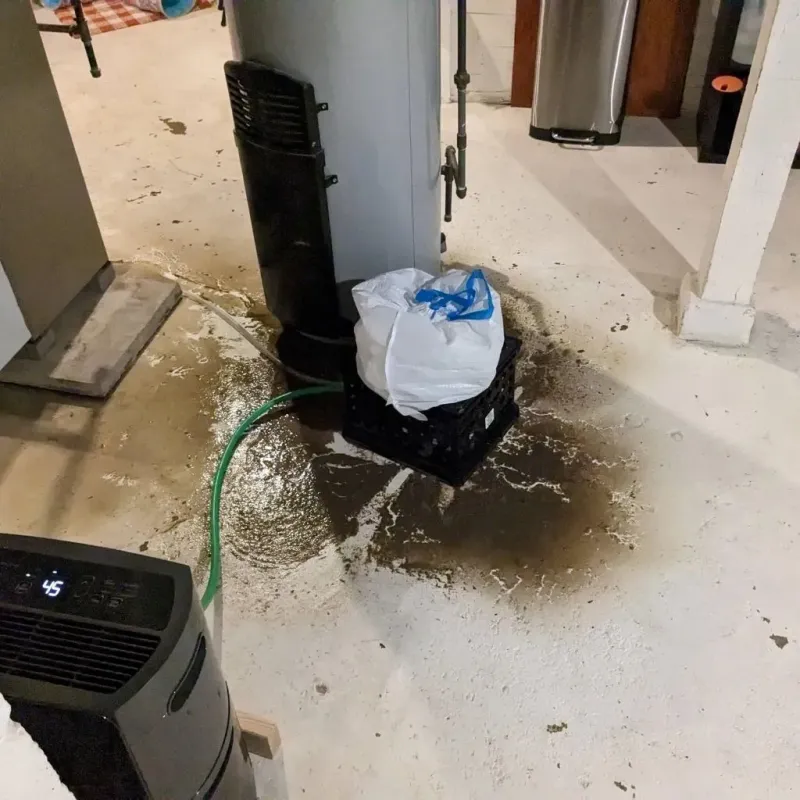 Sewage Backup Cleanup Service in Goshen County, WY